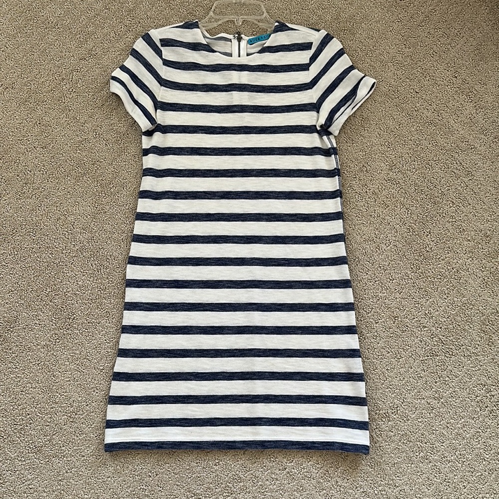 Alice + Olivia Blue and White Striped Knit Dress Sz Xs EUC - Picture 3 of 5